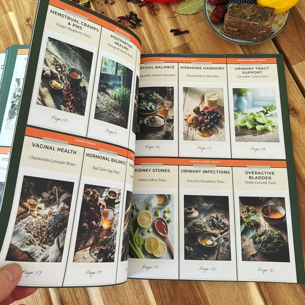 SCAN. HEAL. REPEAT. Interactive Natural & Herbal Remedies