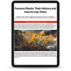 Nature & Remedies 10 eBook Master Bundle