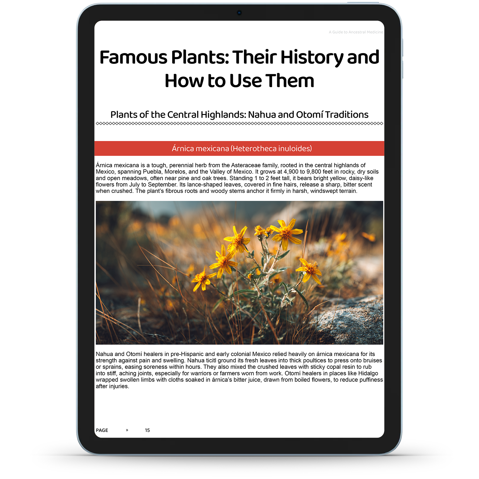 Nature & Remedies 10 eBook Master Bundle